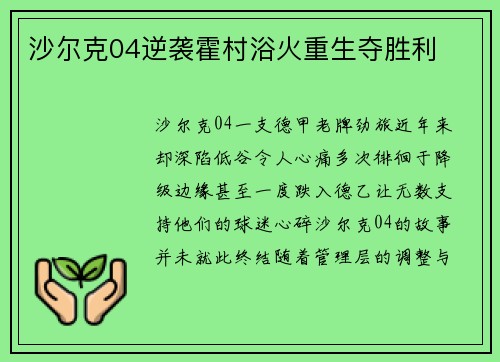 沙尔克04逆袭霍村浴火重生夺胜利
