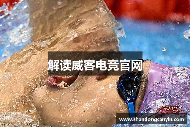 解读威客电竞官网